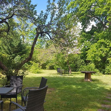 Pension Villa Inge Baden Buitenkant foto