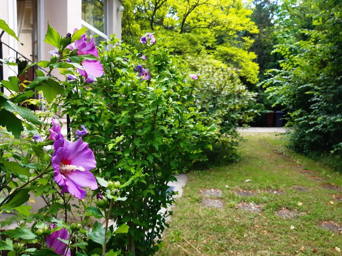 Pension Villa Inge Baden Buitenkant foto