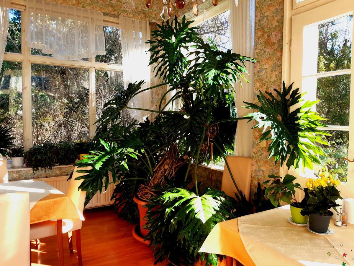 Pension Villa Inge Baden Buitenkant foto