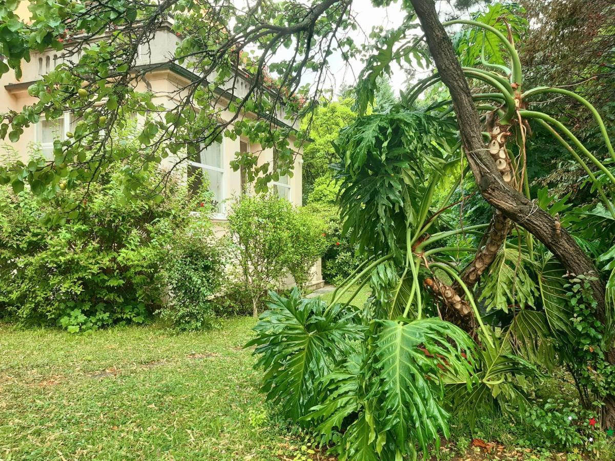 Pension Villa Inge Baden Buitenkant foto